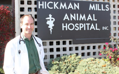 What Makes A Veterinary Clinic In Kansas City  Great? Factors To Consider
