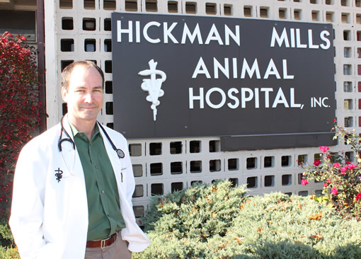 What Makes A Veterinary Clinic In Kansas City  Great? Factors To Consider