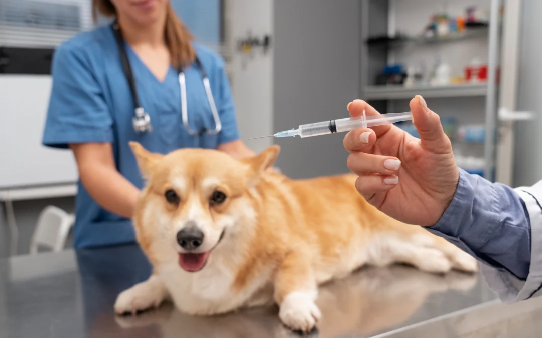 Kansas City Vets Explain the Truth About Pet Vaccines